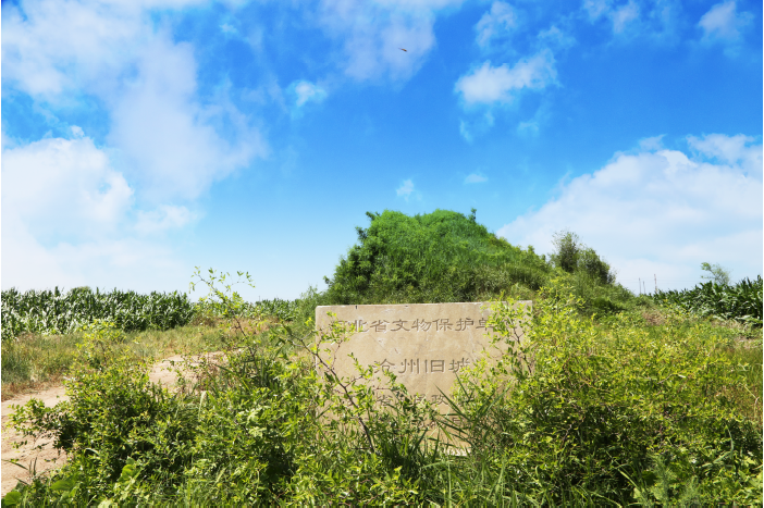 1648966550(1).png