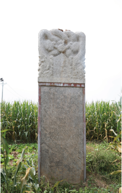 1649074785(1).png